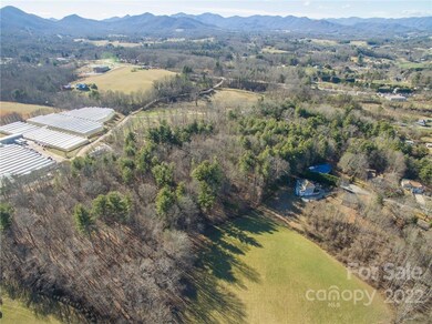 99999 Sunnyview Terrace unit C, Asheville, NC 28804 - photo 6