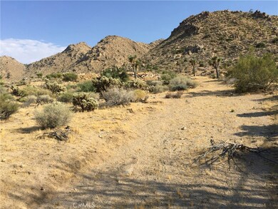 7878 Rockwood Rd, Joshua Tree, CA 92252 - photo 3