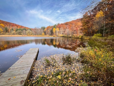 7667 Hickory Bottom Rd, Naples, NY 14512 - photo 3