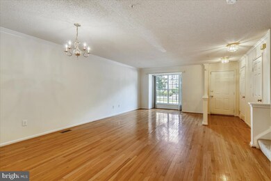 8 Cottage Field Ct, Germantown, MD 20874 - photo 4