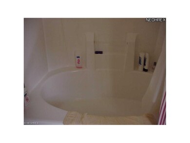 JUST A SMALL VIEW OF THE LARGE TUB IN THE MASTER B