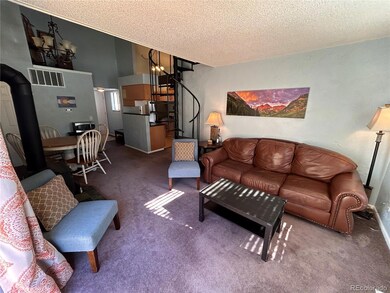 1901 Clear Creek Dr unit 301, Georgetown, CO 80444 - photo 2