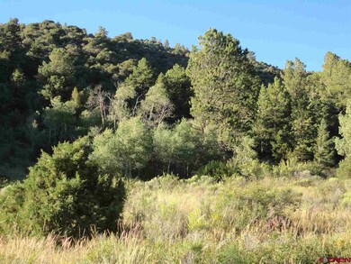 0 Sleger Rd unit 697804, Fort Garland, CO 81133 - photo 3