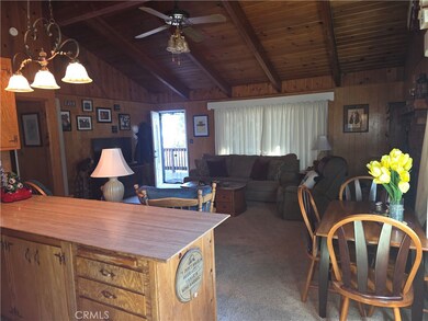 31116 All View Dr, Running Springs, CA 92382 - photo 5