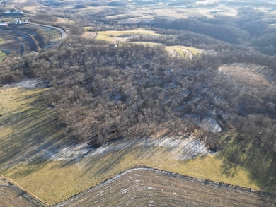 000 Tbd Lycurgus Rd, Waukon, IA 52172 - photo 3