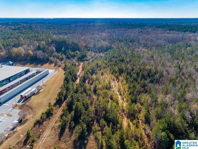 1374 E Highway 280 E unit 1374, Alexander City, AL 35010 - photo 4