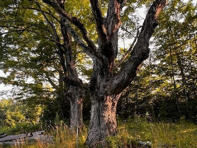 302 Pond Rd, Wilton, ME 04294 - photo 4