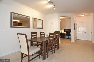 24636 Woolly Mammoth Terrace unit 205, Aldie, VA 20105 - photo 7