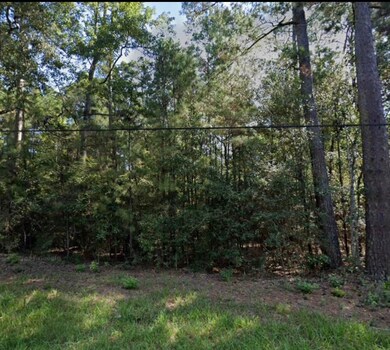 0 Walnut Dr, Montgomery, TX 77356 - photo 7