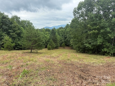 166 Coal Pit Mountain Dr unit 359, Nebo, NC 28761 - photo 5