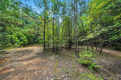 00 Sleepy Hollow Trail, Powder Springs, GA 30127 - photo 5