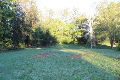 308 Dekalb St, McMinnville, TN 37110 - photo 2