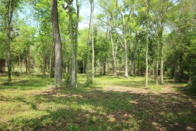 0 County Road 417 Parkway Dr unit 73304911, Dayton, TX 77535 - photo 6