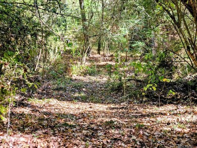 TBD Tunica Trace, Saint Francisville, LA 70775 - photo 5