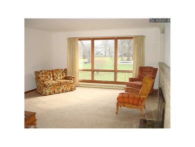 Brand new carpet installed Jan 2012 in livingroom,
