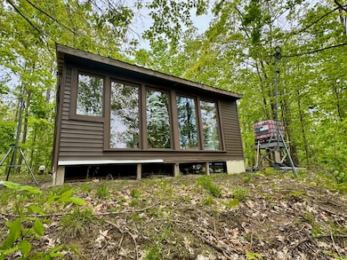 568 Alexander Rd, Vanderbilt, MI 49795 - photo 3