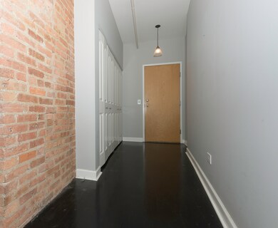 River North Commons unit 204, Chicago, IL 60654 - photo 5