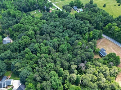 Tract 1 Tigerville Rd, Travelers Rest, SC 29690 - photo 4