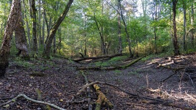 0 Sumatanga Rd, Steele, AL 35987 - photo 6