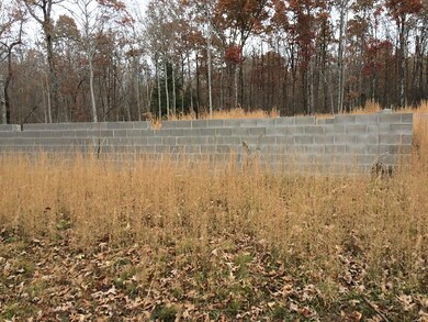 0 Wallace Way unit 1101334, Grimsley, TN 38565 - photo 2