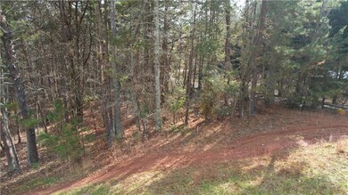0000 Blackburn Tract 3a Rd, Dawsonville, GA 30534 - photo 3