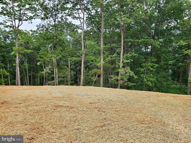 274 Lower View Rd, Strasburg, VA 22657 - photo 4