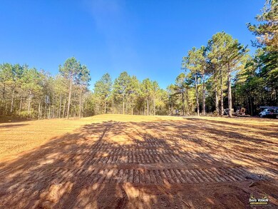 12068 Fm 130, Hughes Springs, TX 75656 - photo 5