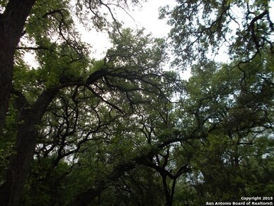 24802 N Saddle Trail, San Antonio, TX 78255 - photo 4