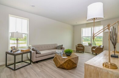 1910 E 110th Ln, Crown Point, IN 46307 - photo 4