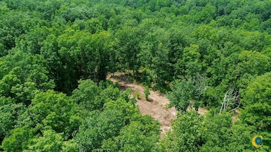 0 Catheys Creek Rd unit 25510509, Hampshire, TN 38461 - photo 5