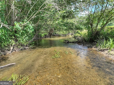 28 AC Jolley Way, Epworth, GA 30541 - photo 4