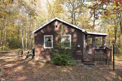 211 Five Mile Meadow Rd, Dingmans Ferry, PA 18337 - photo 6