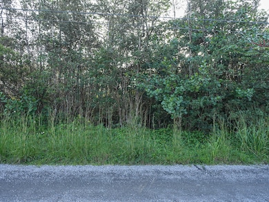 0 8th Ave unit 725719, Keaau, HI 96749 - photo 7