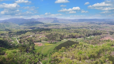 385 Elrod Cir Turtletown TN-print-009-00