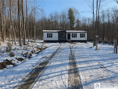 5458 Herrick Rd, Gerry, NY 14740 - photo 4