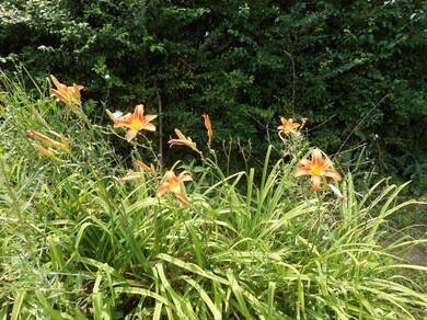 7373 E Us Highway 20, New Carlisle, IN 46552 - photo 4