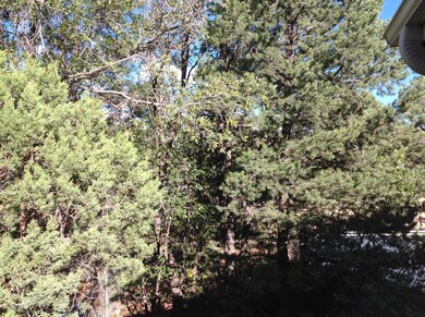 1081 S 8th Cul de Sac, Show Low, AZ 85901 - photo 7