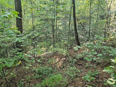 0 Bates Dr unit 418359, Ellijay, GA 30540 - photo 5