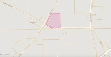 unlisted-address, Mendenhall, MS 39114 - photo 7