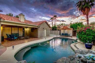 STUNNING Backyard!