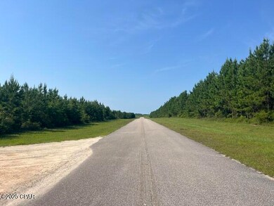 0 SE Nadine Stone Landing Rd, Kinard, FL 32449 - photo 4