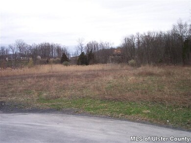 10 Lumen Ln, Highland, NY 12528 - photo 3