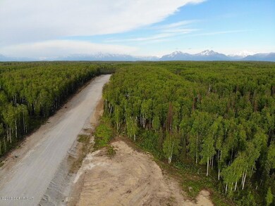 9966 W Aircraft Ct, Wasilla, AK 99623 - photo 5