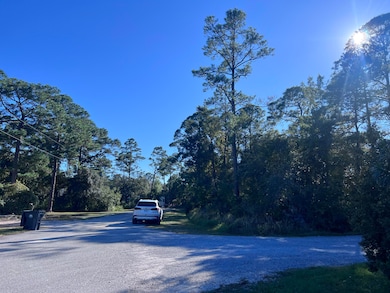 Lot 18 Paradise Point Ln, Santa Rosa Beach, FL 32459 - photo 5