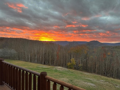 999 Sunset Mountain Village, Slatyfork, WV 26291 - photo 4