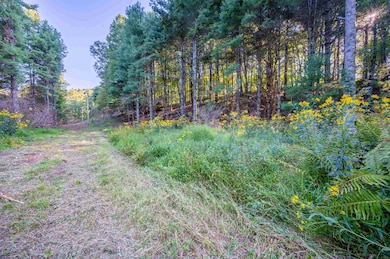 1287 Cox Store Rd SW, Floyd, VA 24091 - photo 2