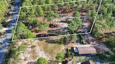 4256 N Amarillo Dr, Beverly Hills, FL 34465 - photo 6