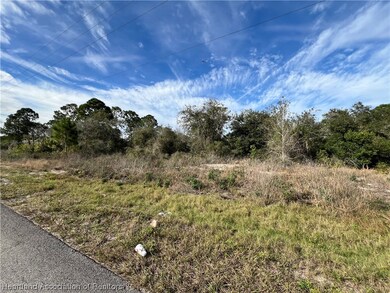 324 Jack Weisser Blvd, Lake Placid, FL 33852 - photo 3