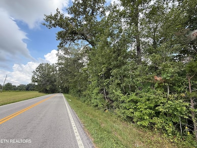 2571 Bellview Rd, Pikeville, TN 37367 - photo 6