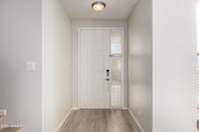15 Cypress